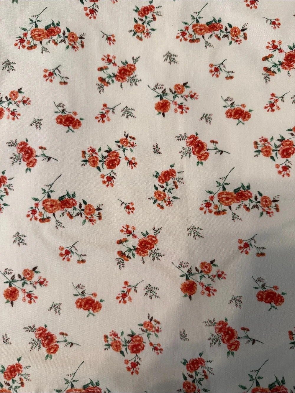 Forever 21 White A-Line Mini Skirt with Red Floral Print